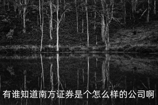 有誰知道南方證券是個(gè)怎么樣的公司啊