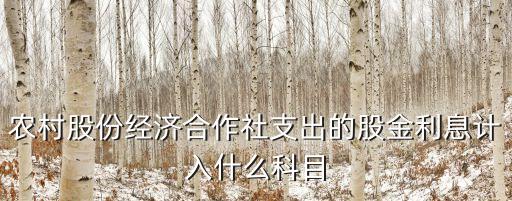 農(nóng)村股份經(jīng)濟合作社支出的股金利息計入什么科目