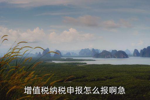 增值稅報稅，怎樣報增值稅