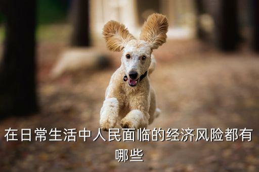 在日常生活中人民面臨的經(jīng)濟(jì)風(fēng)險(xiǎn)都有哪些