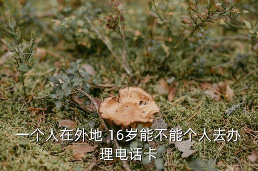 一個人在外地 16歲能不能個人去辦理電話卡