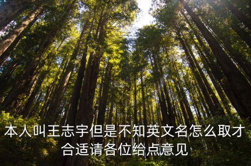 王志宇，我想給我兒子起個(gè)名字我姓王第三個(gè)字為宇中間大家給個(gè)建議用