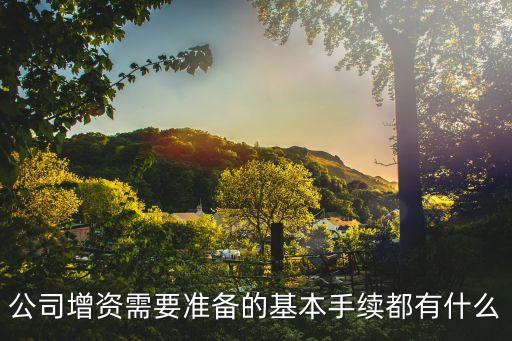 公司增資需要準(zhǔn)備的基本手續(xù)都有什么