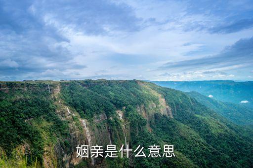 姻親是什么意思