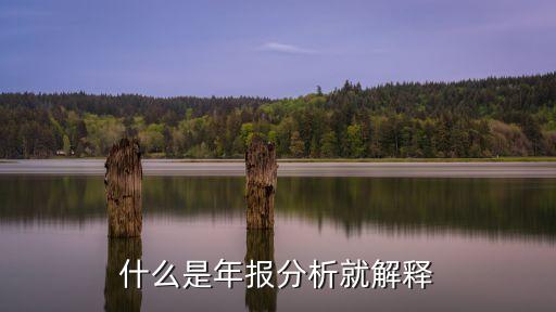 什么是年報(bào)分析就解釋