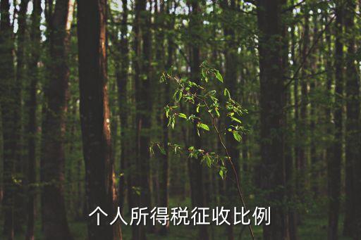 個稅扣除比例，個人所得稅是按什么比例扣的