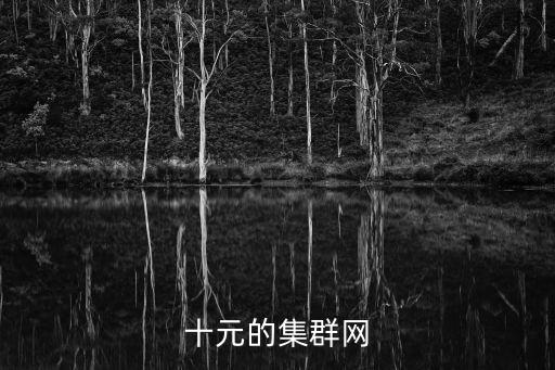 十元的集群網(wǎng)