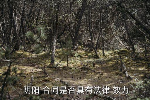 陰陽(yáng)合同陰合同效力,在陰陽(yáng)合同中,陰合同有效,陽(yáng)合同效力待定