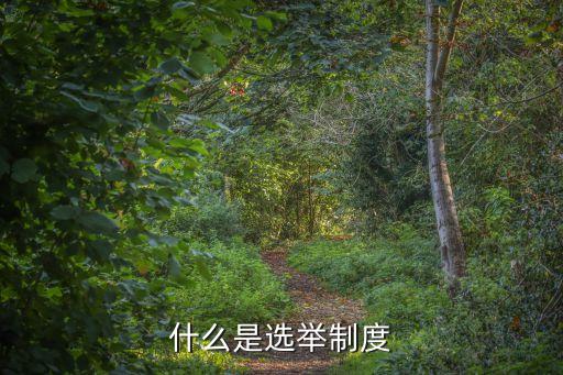選舉制，選舉制度是指什么制度