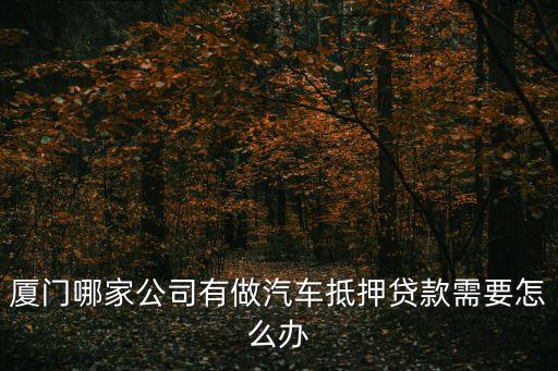 廈門(mén)哪家公司有做汽車(chē)抵押貸款需要怎么辦