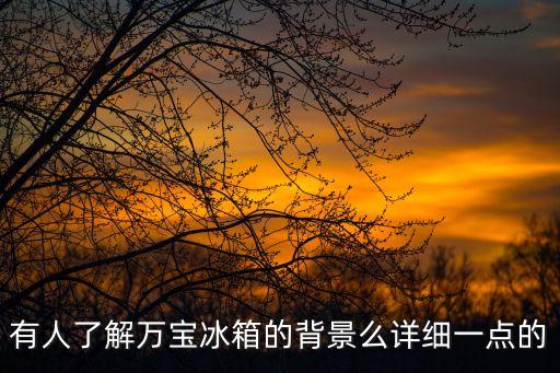 廣州萬寶集團(tuán)，萬寶集團(tuán)在哪