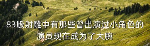 83版射雕中有那些曾出演過小角色的演員現(xiàn)在成為了大腕