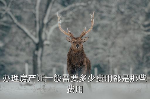 辦理房產(chǎn)證一般需要多少費(fèi)用都是那些費(fèi)用