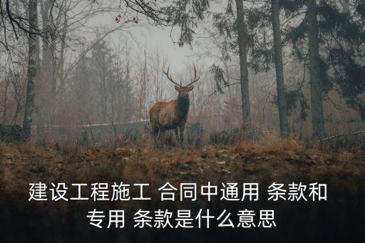 專用合同條款內(nèi)容,公路工程專用合同條款