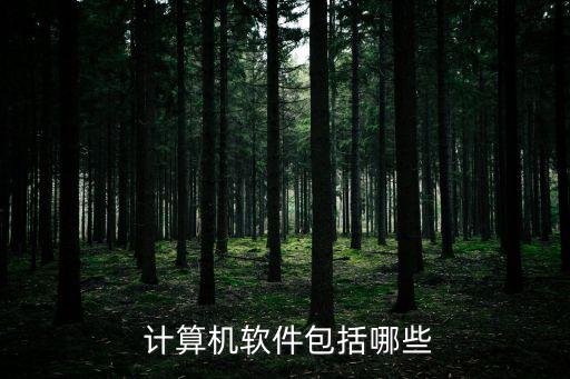  計(jì)算機(jī)軟件包括哪些