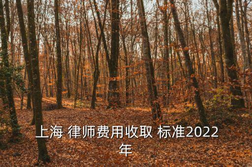 上海律師事務(wù)所收費(fèi)標(biāo)準(zhǔn),上海法律援助中心12348