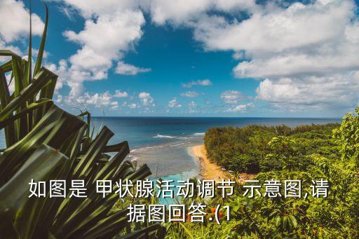 甲狀腺用手摸的示意圖