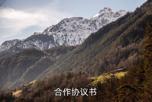 企業(yè)合同文書模板下載,企業(yè)管理咨詢合同模板