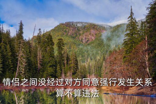 情侶之間沒(méi)經(jīng)過(guò)對(duì)方同意強(qiáng)行發(fā)生關(guān)系算不算違法