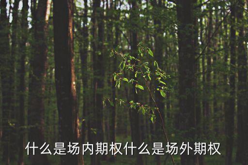 場(chǎng)內(nèi)期權(quán)，什么是場(chǎng)外期權(quán)什么是場(chǎng)內(nèi)期權(quán)