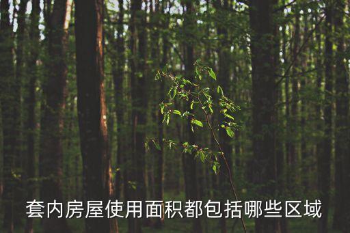 套內(nèi)房屋使用面積都包括哪些區(qū)域
