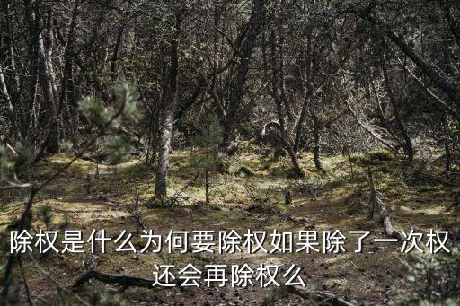除權(quán)是什么為何要除權(quán)如果除了一次權(quán)還會(huì)再除權(quán)么