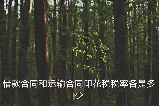 借款合同印花稅稅率，借款合同和運(yùn)輸合同印花稅稅率各是多少