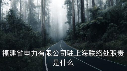 福建省電力有限公司駐上海聯(lián)絡(luò)處職責是什么