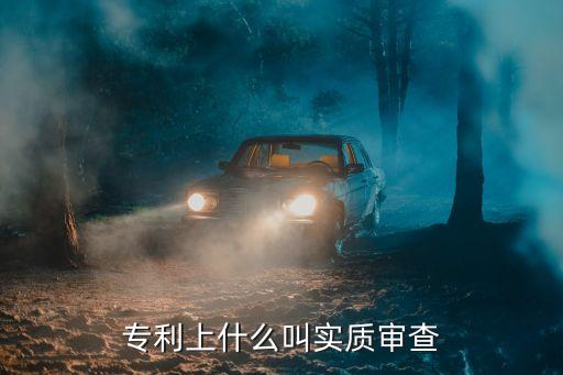 實質(zhì)審查，什么是實質(zhì)審查