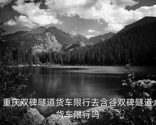 重慶限號查詢，哪里能查到重慶市主城那些地方限制貨車通行的時間段