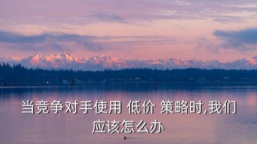 低價策略,蜜雪冰城的低價策略