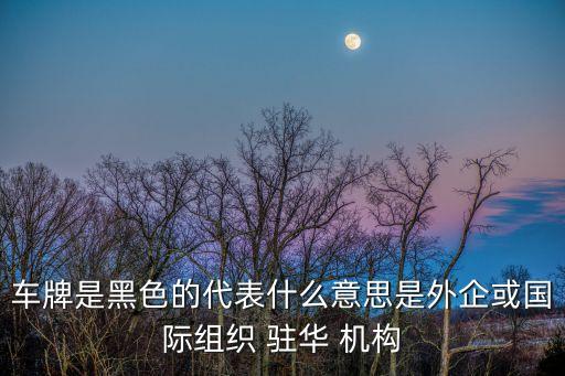 駐華機構,外國駐華機構