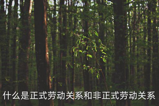 勞動(dòng)關(guān)系，勞動(dòng)合同法律關(guān)系是什么