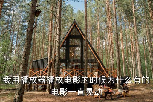 電影盜攝，好像是一部偷窺的電影 忘了名字 記得幾個細節(jié) 一個女的看畫展然后勾