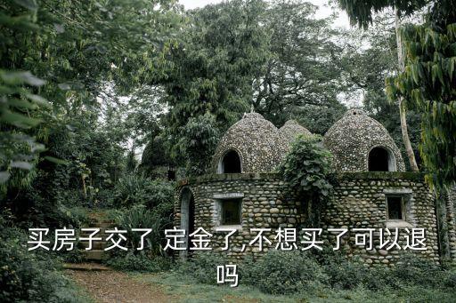 買房子交了 定金了,不想買了可以退嗎