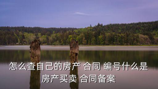 房屋合同編號網上查詢,吉林銀行貸款合同編號網上查詢
