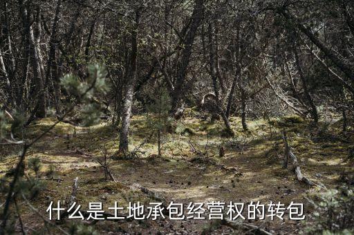 土地轉(zhuǎn)包，土地轉(zhuǎn)包轉(zhuǎn)讓的區(qū)別