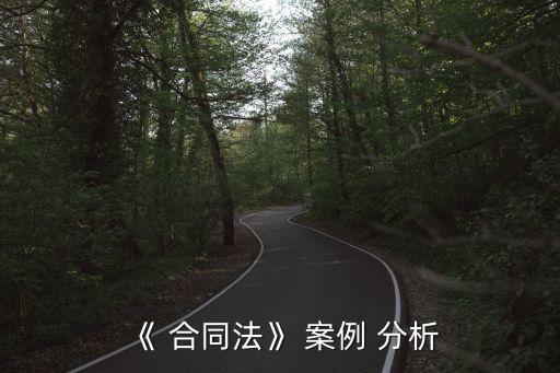《 合同法》 案例 分析