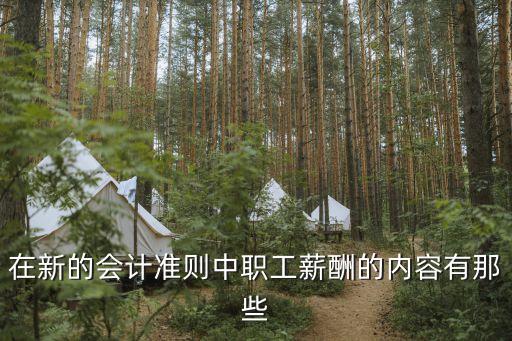 職工薪酬，職工薪酬包括的內(nèi)容