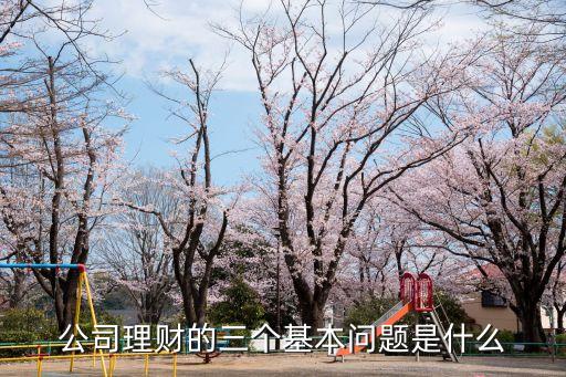 企業(yè)理財(cái)，公司理財(cái)?shù)娜齻€(gè)基本問題是什么