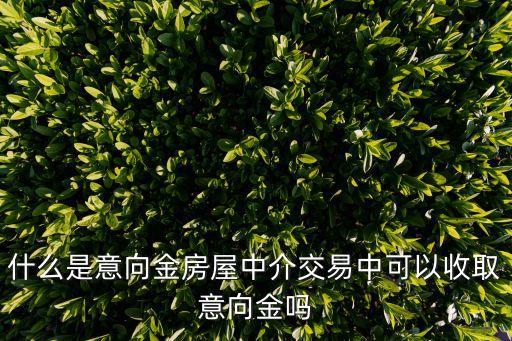 意向金，什么是意向金啊