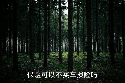 車損險(xiǎn)可以不買嗎，汽車車損險(xiǎn)有必要買嗎