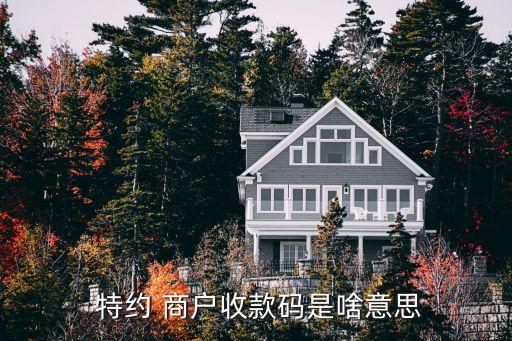特約商戶什么意思,支付寶快捷支付特約商戶什么意思