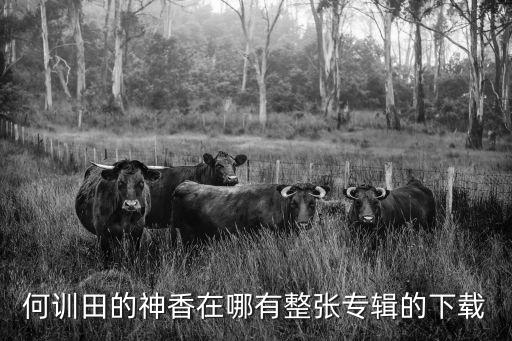何訓(xùn)田，春歌 何訓(xùn)田歌詞 找簡譜曲