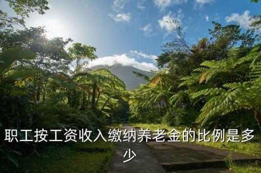 養(yǎng)老比例，社會養(yǎng)老金的繳納比例是多少