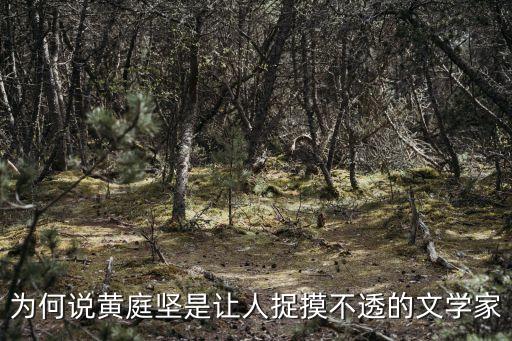 人操人摸