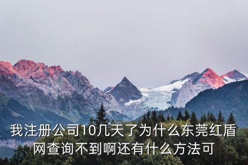 我注冊(cè)公司10幾天了為什么東莞紅盾網(wǎng)查詢不到啊還有什么方法可