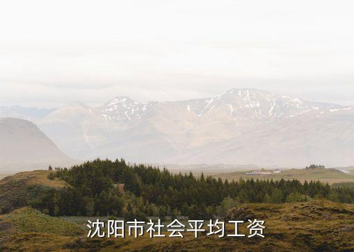 沈陽社平工資，沈陽市社會平均工資