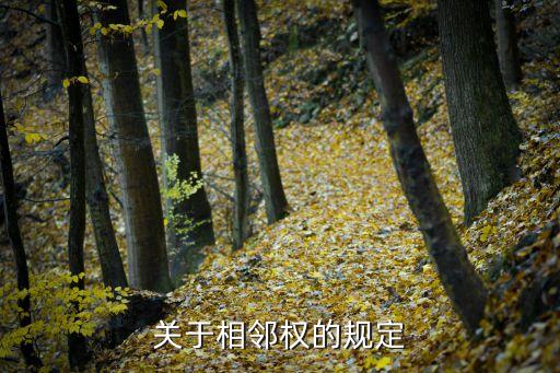 關(guān)于相鄰權(quán)的規(guī)定