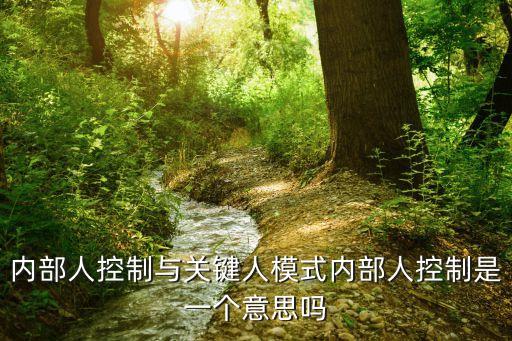 內(nèi)部人控制，內(nèi)部人控制與關(guān)鍵人模式內(nèi)部人控制是一個(gè)意思嗎